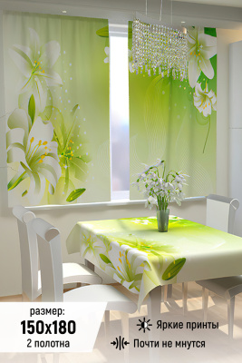 2e87304c-c90b-40ec-b3b8-cfa87a054fba